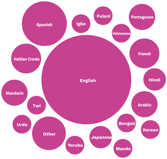 Figure 6: Languages in Which Programming is Offered